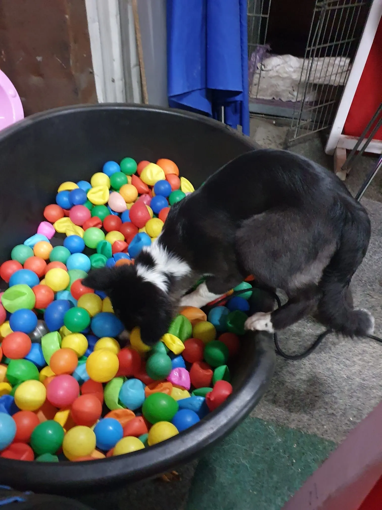 IMG-20231227-WA0010.jpg
