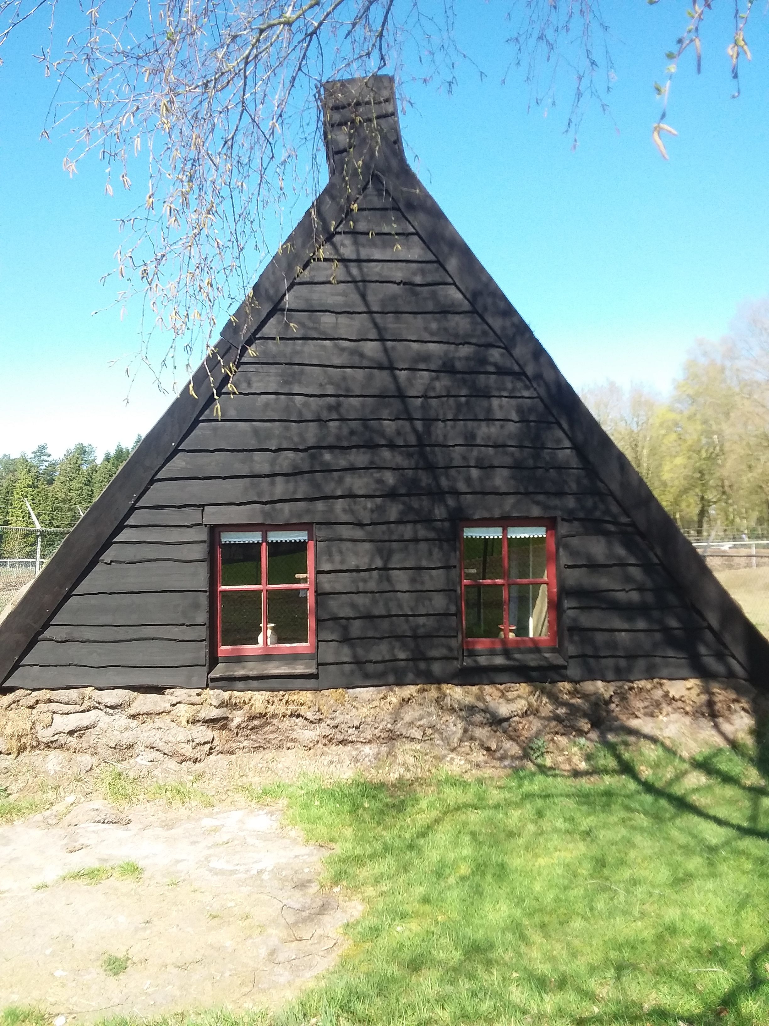 20190410_131611 1.jpg