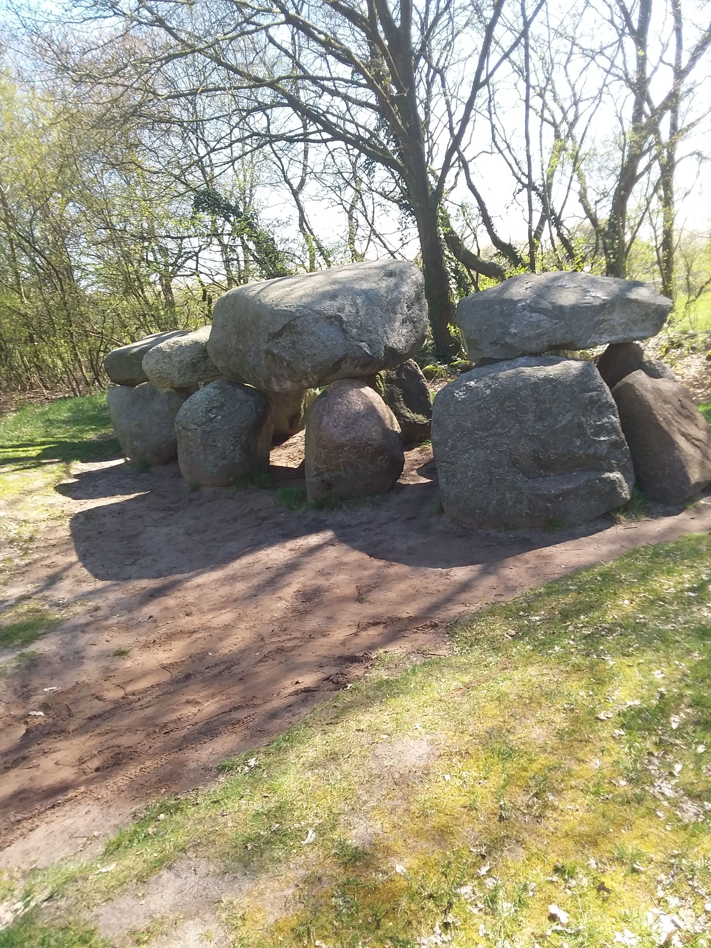 20190410_131827 1.jpg